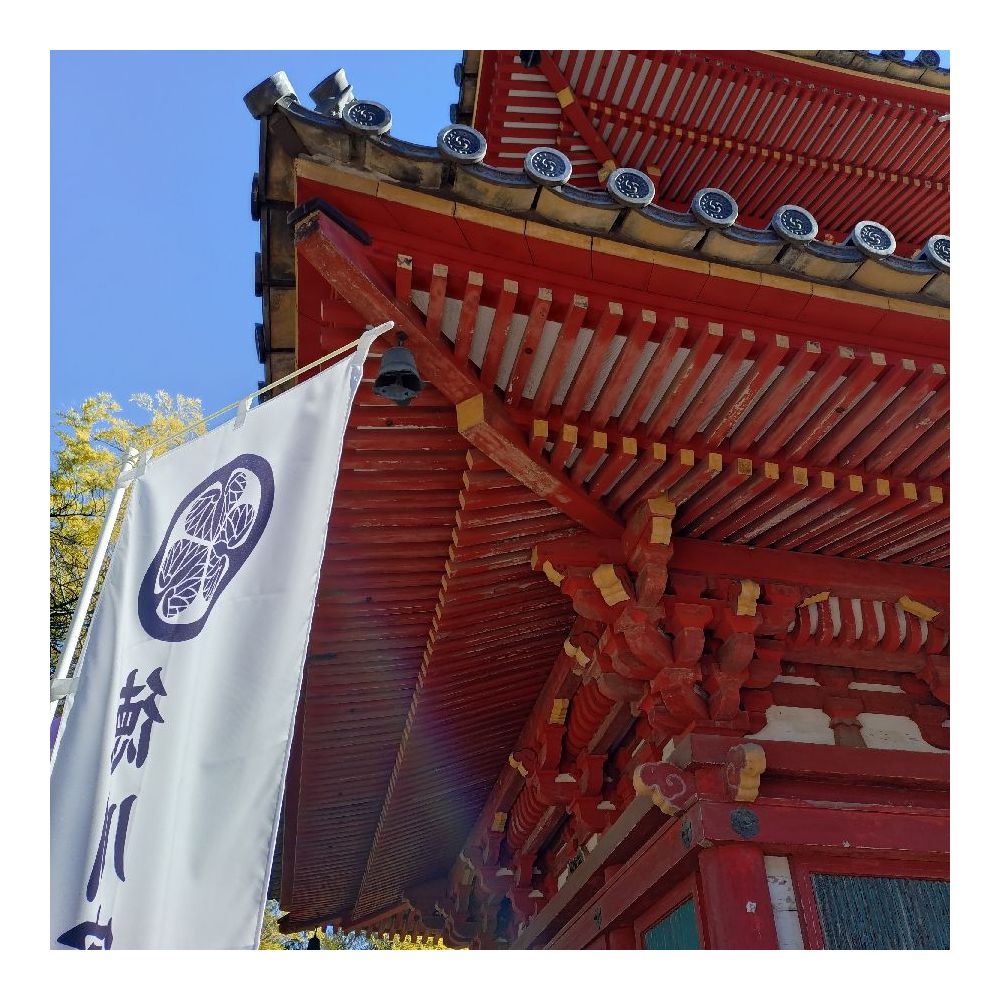 新年明けましておめでとうございます。【Tuareg】